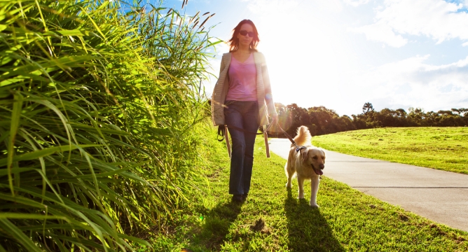 Picture of woman walking dog