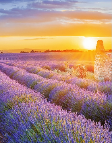 Provence, France