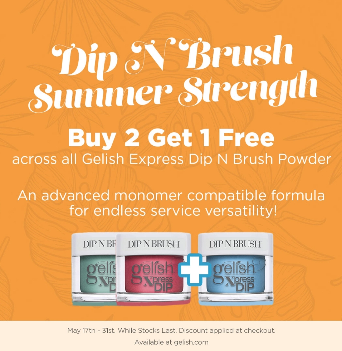 Buy 2 Get 1 FREE Dip N Brush