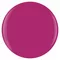 AMOUR COLOR PLEASE