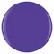 ANIME-ZING COLOR!